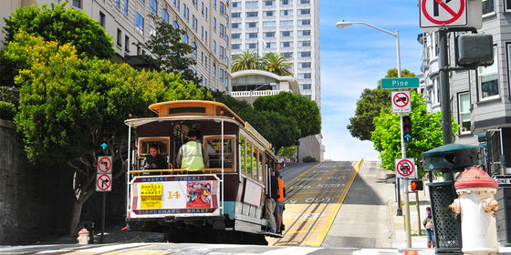 5 Good Reasons to Visit the Bay Area